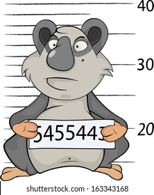 Panda the prisoner. Criminal mug shot. Cartoon. 
