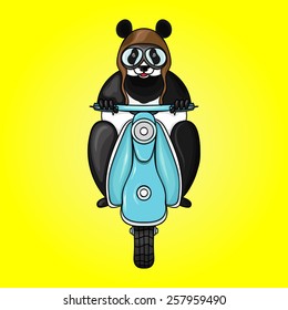 Panda racer in helmet on scooter. Hand drawn vector illustration in doodle style. 