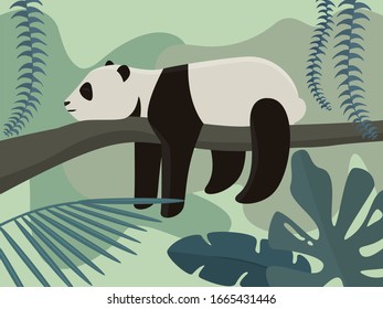 Panda in rainforest. Vector illustration in cartoon style.