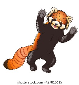 Panda. Red panda