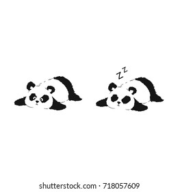 Panda resting on ground. Two vector illustrations of cute silhouette