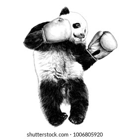 Panda sketch vector graphics monochrome black-and-white drawing