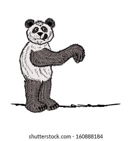 Panda sketch for your design, vector illustration, eps10. 