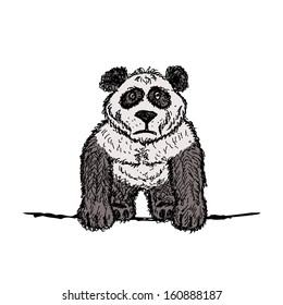 Panda sketch for your design, vector illustration, eps10. 