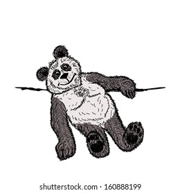Panda sketch for your design, vector illustration, eps10. 
