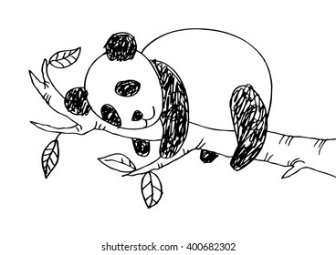  Panda sleeping on a branch