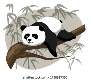 Panda is sleeping on a tree. Vector illustration of an animal
