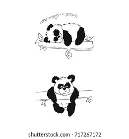 Panda is sleeping or playing on a tree. Sketch vector illustration
