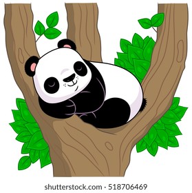 Panda sleeps on the tree