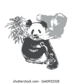 Panda smoking bong, vector illustration for coffee shop menu or t-shirt. Realistic drawing of chinese mammal. Hand drawn black on white illustration