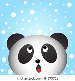 Panda and snow