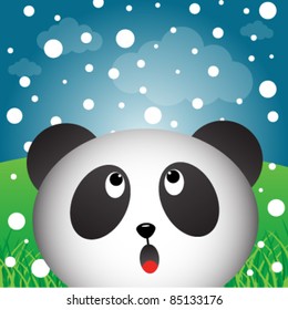 Panda with snow