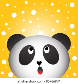 Panda and snow