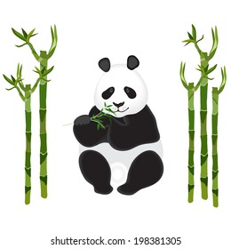 Panda with a sprig  on white. Bamboo stalks. Vector illustration.