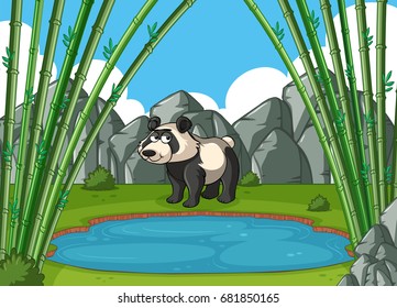 Panda parado junto a la ilustración del estanque
