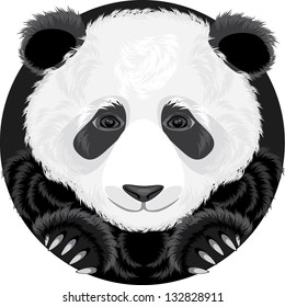 Panda. Vector
