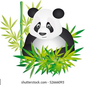 Panda vector