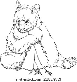 Panda vector black and white image for coloring books