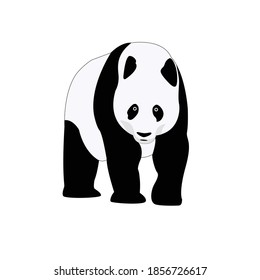 Panda vector design, Image by Wikipedia.org