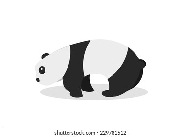 Panda, vector illustration 