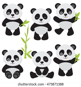 Panda vector illustration