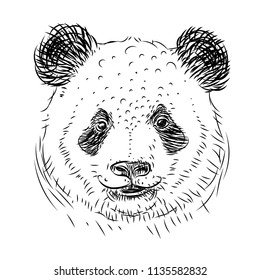 Panda vector illustration, Hand drawn bear sketch isolated on white background