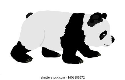 Panda vector illustration isolated on white background. Panda bear. Bamboo eater from China. Cute mascot. Zoo attraction.