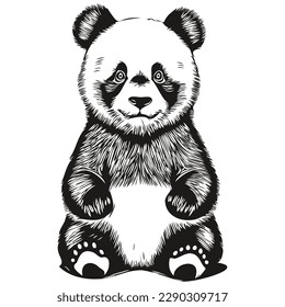 Panda vector illustration line art drawing black and white Pandas