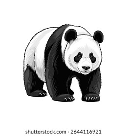 panda vector illustration on white background