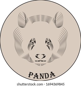 panda vector logo on a beige background