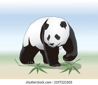 A Panda is walking in a garden, vector illustration isolated, EPS