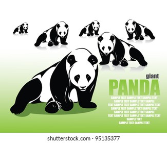 Panda wallpaper - vector illustration