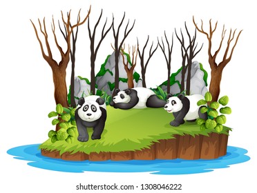Panda en ilustración forestal silvestre