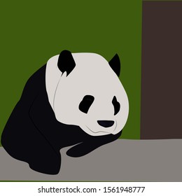 Panda in the woods, illustration, vector on white background.