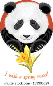 Panda with yellow crocuses. Vector