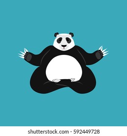 Panda Yoga. Chinese bear yogi. Animal zen and relax
