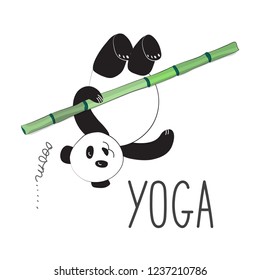 Panda yogi doing exercise on bamboo. Vector illustration of yoga