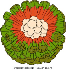 Pandan fruit, Sargassum. Hand drawn colored tropical plant. Pandanus tectorius vector	
