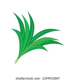 Pandan Leaf Illustration Icon Template