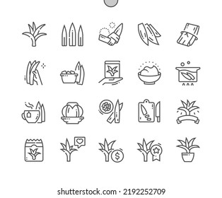 Pandan Leaf. Nature Organic Food Nutrition. Cooking, Recipes And Price. Pixel Perfect Vector Thin Line Icons. Simple Minimal Pictogram