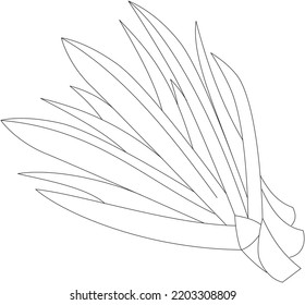 Pandan Leaf Vector Icon Black And White
