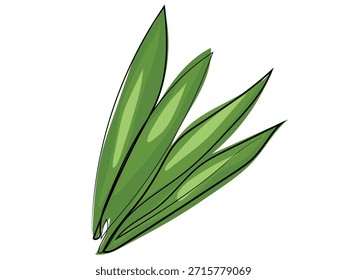 Pandan deja en un formato de dibujo de línea continua. En un formato de dibujo de línea continua.