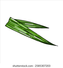 Pandan Leaves herbs and spices Illustration with isolated white background