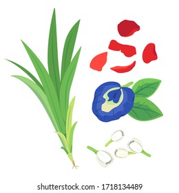 pandanus leaf with jasmine and rose petals, butterfly pea flower for makeing thai dessert.