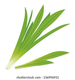 Pandanus Leaves