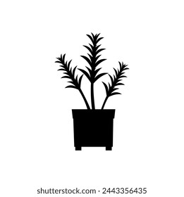 pandanus plants vector illustration, rosemary plant.