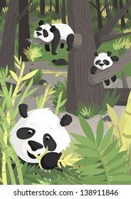 pandas