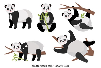 Pandas, bamboo bear, set of cute pictures, in different poses. On a tree, lying, standing, sleeping. Vector illustration on a white background. For decoration, scrapbooking, printing on fabric, paper