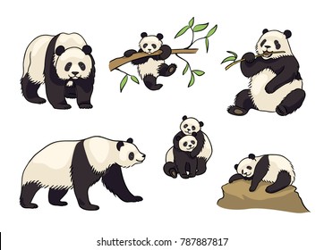 Pandas in cartoon style - adults and babies. Vector illustration. EPS8
