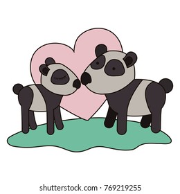 pandas couple over grass in colorful silhouette on white background with heart
